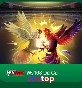 sbotop
